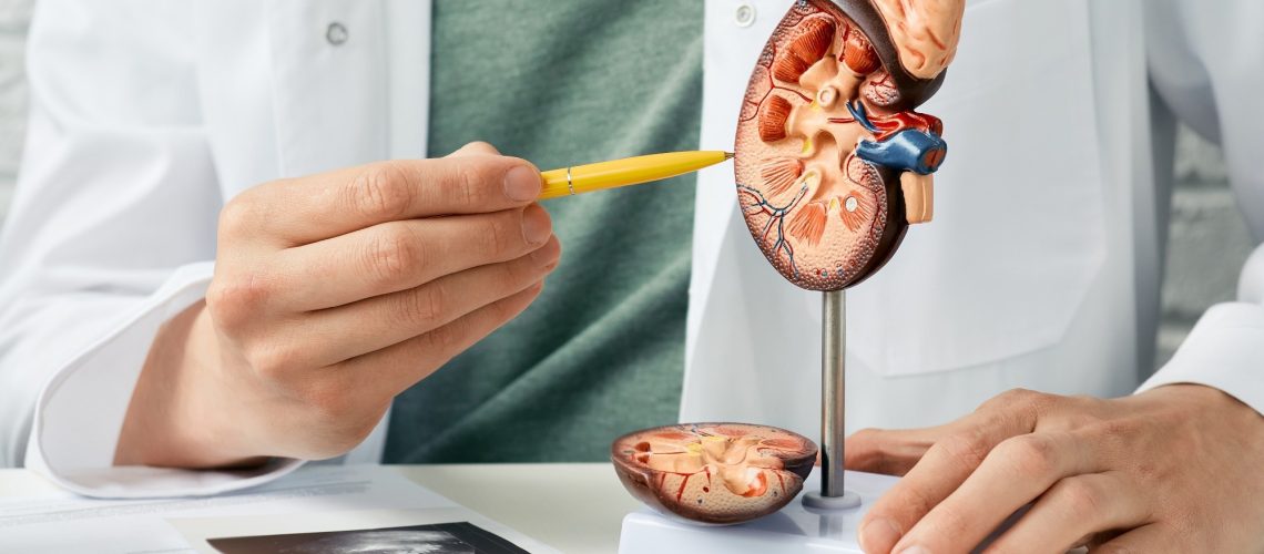 Study: X-chromosome and kidney function: evidence from a multi-trait genetic analysis of 908,697 individuals reveals sex-specific and sex-differential findings in genes regulated by androgen response elements. Image Credit: Peakstock/Shutterstock.com