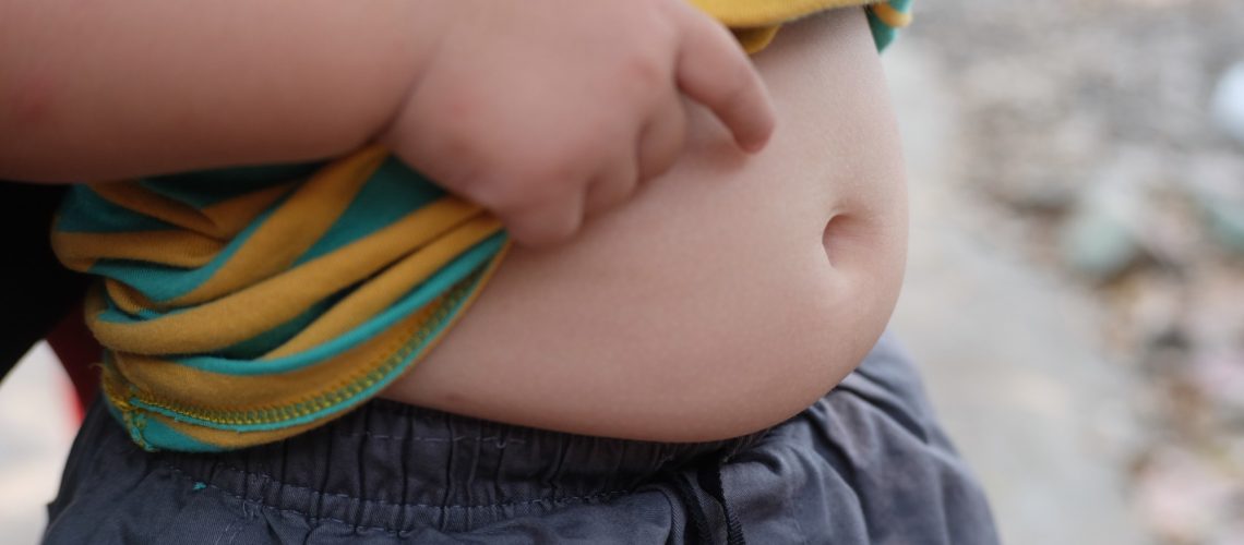 Study: Causal relationship between gut microbiota and childhood obesity: a Mendelian randomization study and case–control study. Image Credit: Leeferiin / Shutterstoc