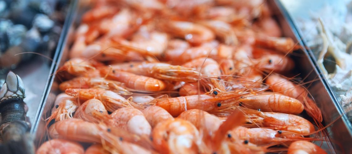 מחקר חושף זיהום מיקרו-פלסטיק נרחב בדגים וברכיכות בחוף המערבי של ארה"ב