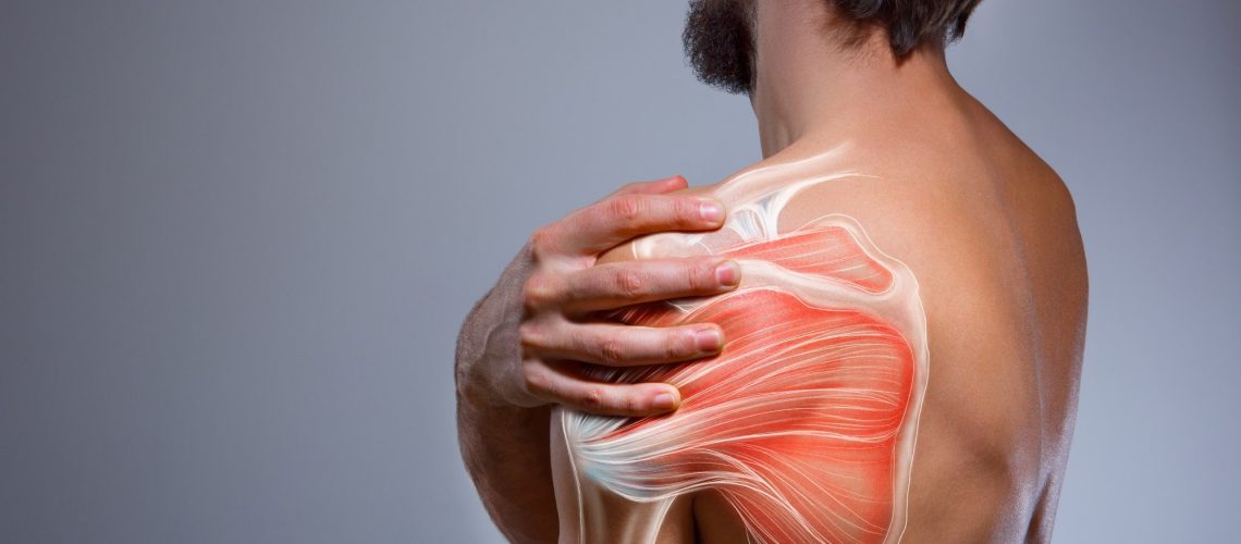 Study: Trigonelline is an NAD+ precursor that improves muscle function during ageing and is reduced in human sarcopenia. Image Credit: BigBlueStudio/Shutterstock.com