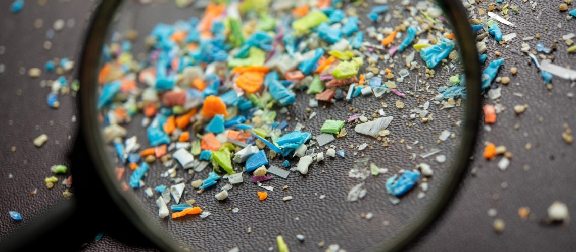 מחקר חזירים חושף השפעות מרוטוקסיות ופרו-דלקתיות של מיקרופלסטיק על מערכת העצבים האנטרית