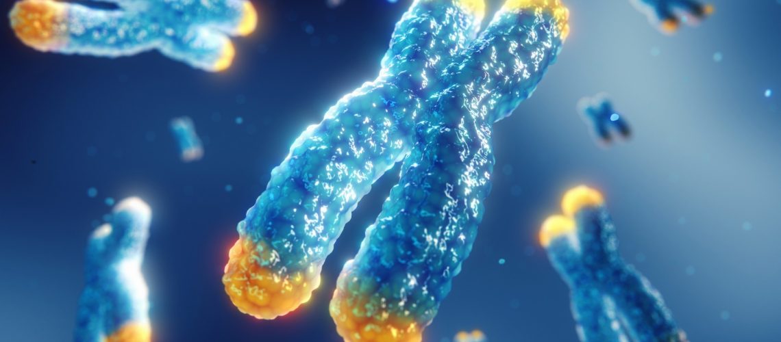 Study: X‐chromosome-wide association study for Alzheimer’s disease. Image Credit: nobeastsofierce / Shutterstock