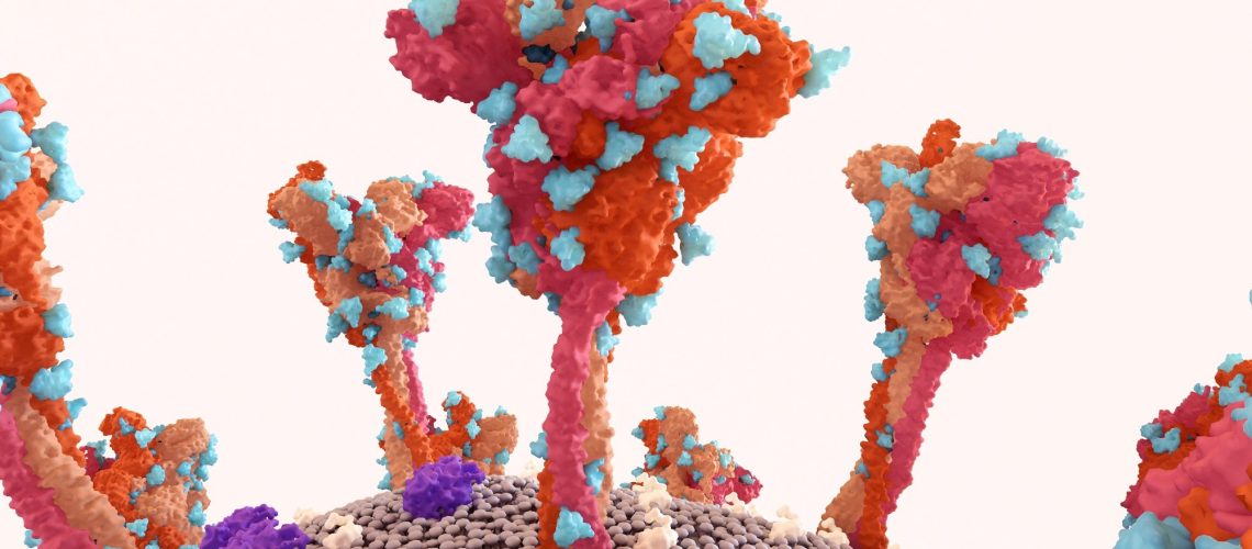 Study: The relationship between Coronavirus Disease-19 (COVID-19) and ischemic priapism: a case-control study. Image Credit: Design_Cells / Shutterstock