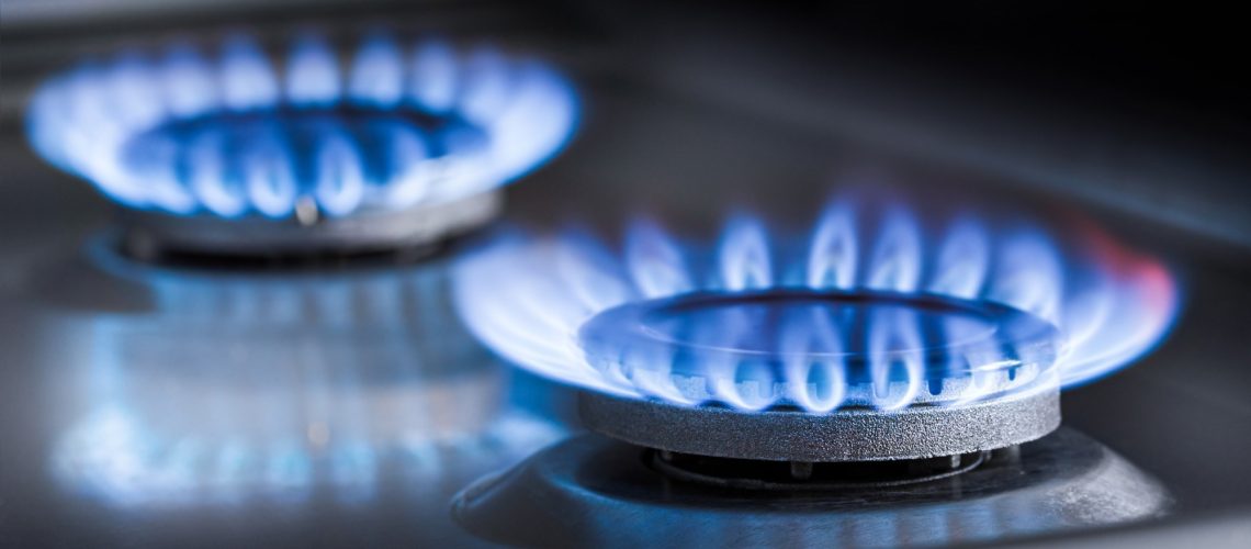 Study: Cooking with liquefied petroleum gas or biomass and fetal growth outcomes: a multi-country randomised controlled trial. Image Credit: Irina Gutyryak / Shutterstock.com