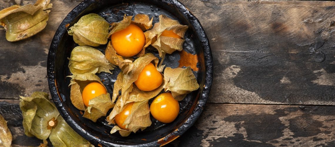 Study: Daily Consumption of Golden Berry (Physalis peruviana) Has Been Shown to Halt the Progression of Insulin Resistance and Obesity in Obese Rats with Metabolic Syndrome. Image Credit: Creative Family/Shutterstock.com
