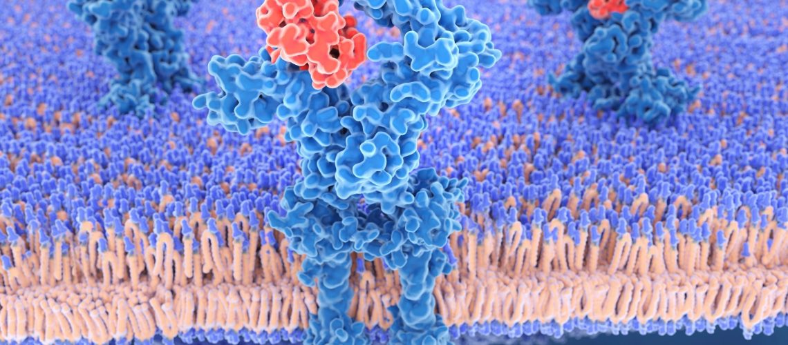 Study: IL-24 improves efficacy of CAR-T cell therapy by targeting stemness of tumor cells. Image Credit: Juan Gaertner/Shutterstock.com