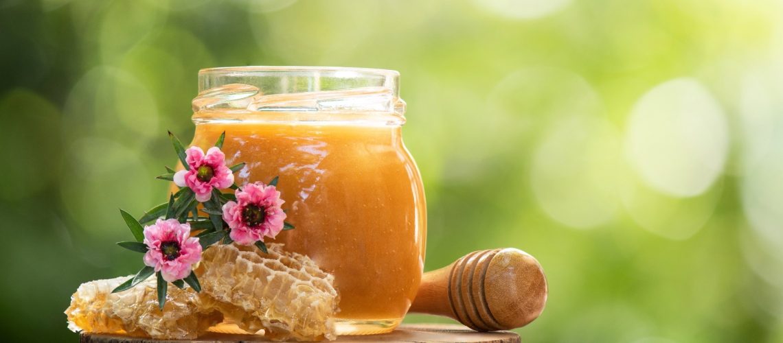 Study: Antibacterial activity of Hungarian varietal honeys against respiratory pathogens as a function of storage time. Image Credit: wasanajai / Shutterstock.com
