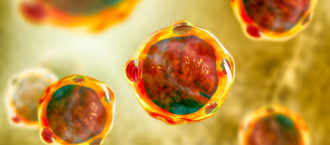Study: Intestinal Blastocystis is linked to healthier diets and more favorable cardiometabolic outcomes in 56,989 individuals from 32 countries. Image Credit: Kateryna Kon / Shutterstock