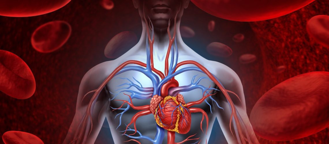 Study: Forecasting the Burden of Cardiovascular Disease and Stroke in the United States Through 2050—Prevalence of Risk Factors and Disease: A Presidential Advisory From the American Heart Association. Image Credit: Lightspring / Shutterstock