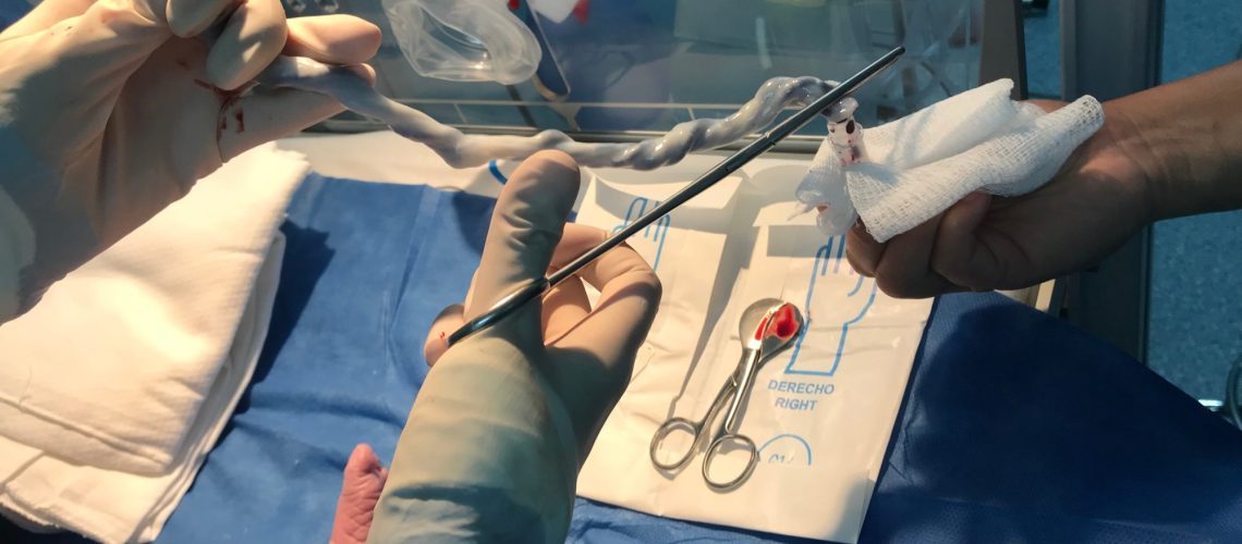 ​​​​​​​Study: Cord blood lipid correlation network profiles are associated with subsequent attention-deficit/hyperactivity disorder and autism spectrum disorder symptoms at 2 years: a prospective birth cohort study. Image Credit: LOLA61/Shutterstock.com