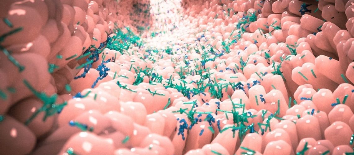 Study: ystematic identification of the role of gut microbiota in mental disorders: a TwinsUK cohort study. Image Credit: Alpha Tauri 3D Graphics/Shutterstock.com