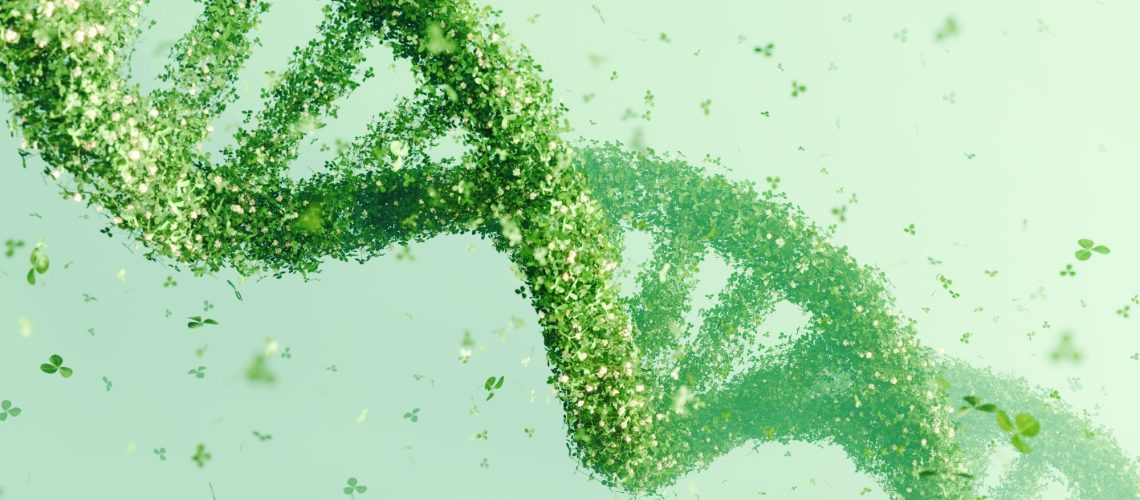 מחקרי סיכון גנטי לאלצהיימר מתערערים על ידי הטיות מערכתיות