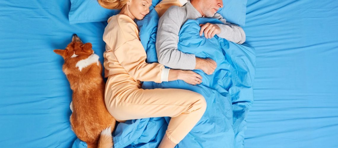 Study: Who is disrupting whom? Examining the nighttime activity patterns of humans and their dogs. Image Credit: Cast Of Thousands / Shutterstock