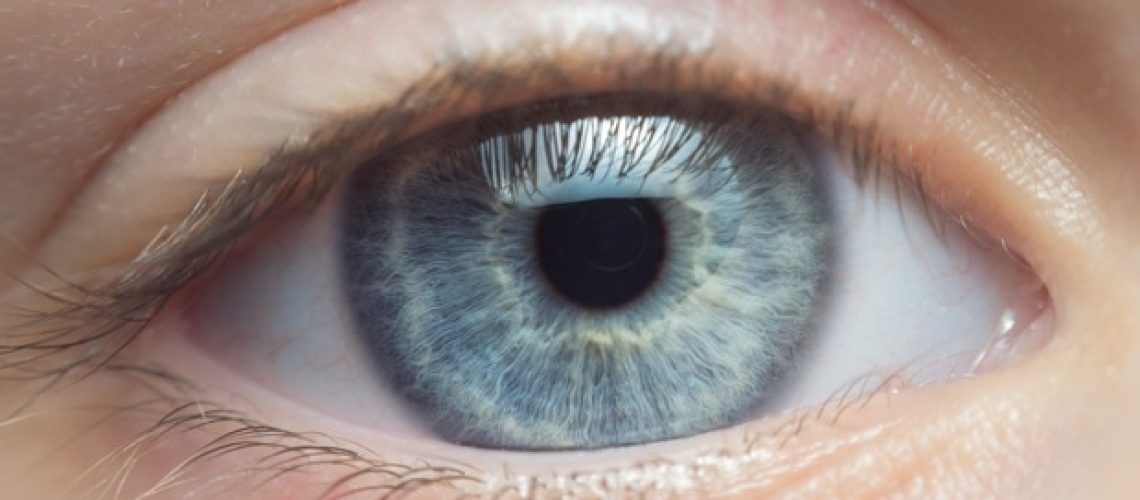 מימון פדרלי מגביר את המאמץ להפוך השתלות עיניים למציאות