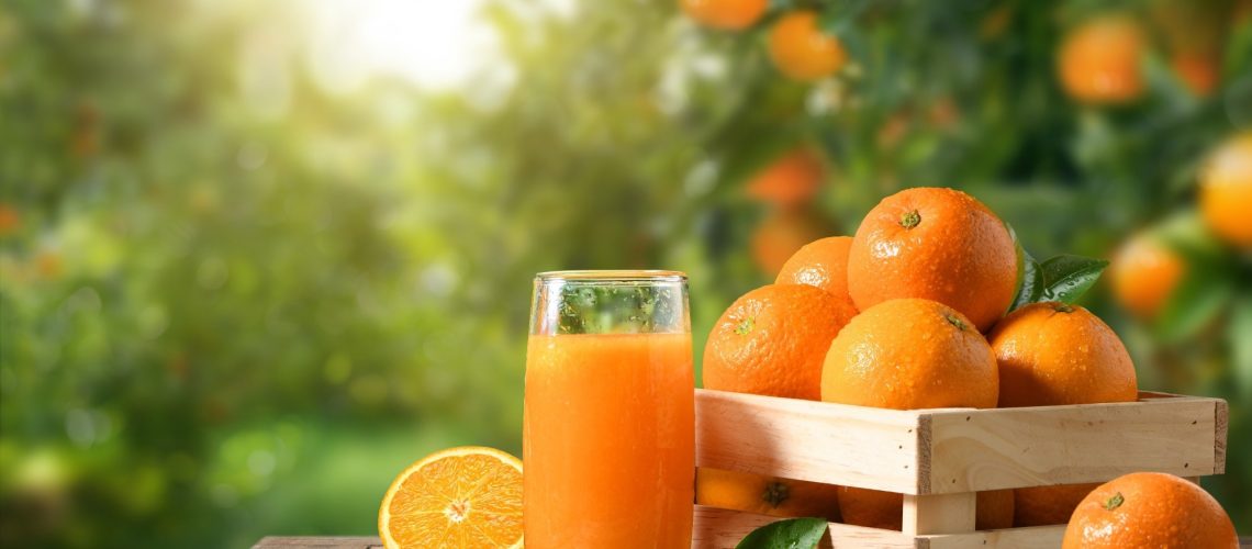 Study: Effect of 100% Orange Juice and a Volume-Matched Sugar-Sweetened Drink on Subjective Appetite, Food Intake, and Glycemic Response in Adults. Image Credit: Photoongraphy/Shutterstock.com