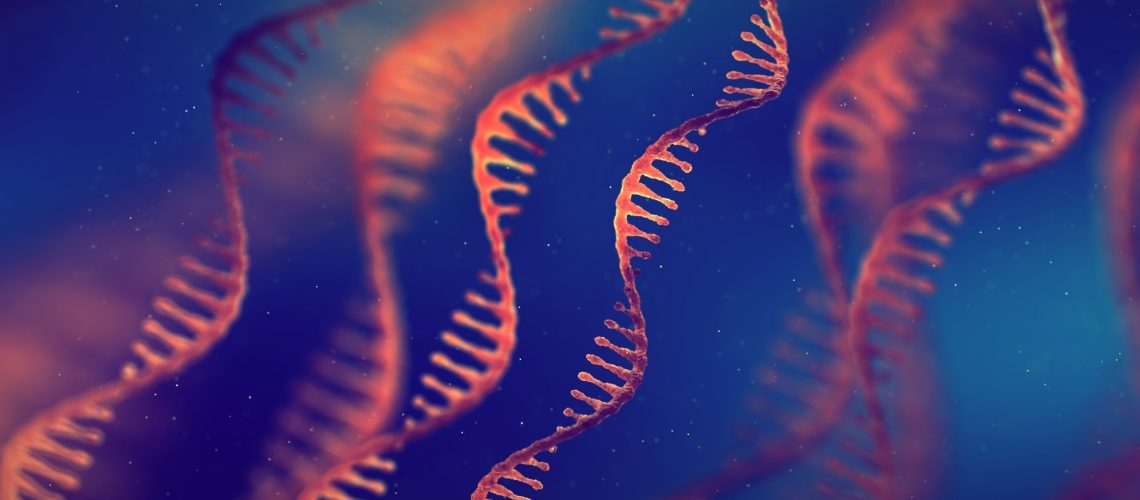 Single strand ribonucleic acid (RNA) molecules. 3D illustration