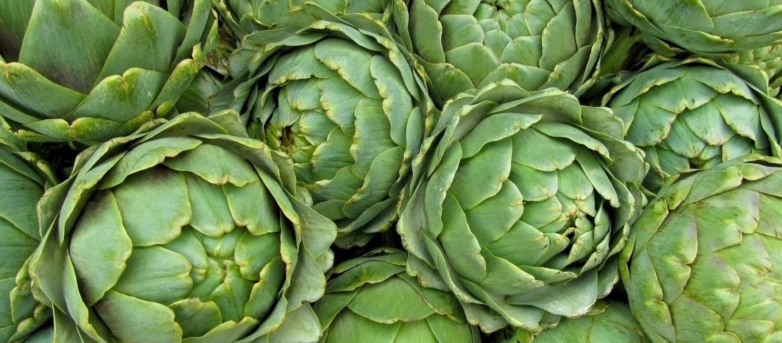 Study: An Overview of the Versatility of the Parts of the Globe Artichoke (Cynara scolymus L.), Its By-Products and Dietary Supplements. Image Credit: Ev Thomas/Shutterstock.com