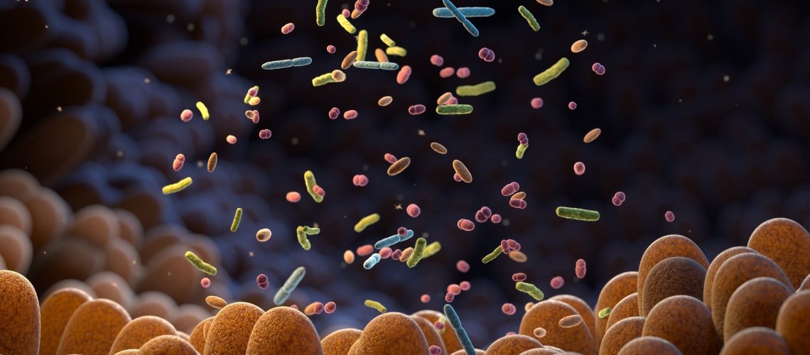 ntestinal bacteria Microbiome. 3d illustration