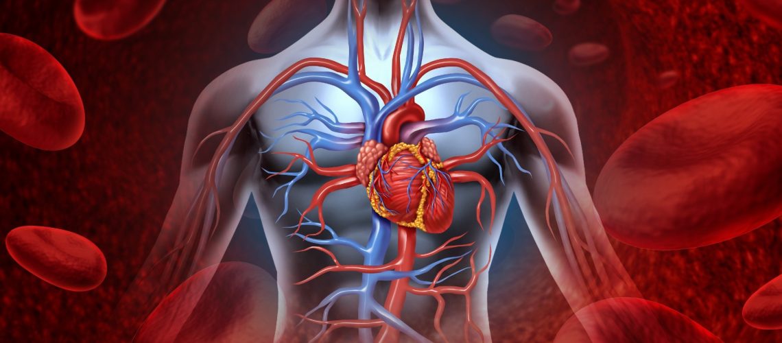 Study: Sodium Glucose Co-transporter 2 Inhibitors and Major Adverse Cardiovascular Outcomes: A SMART-C Collaborative Meta-Analysis. Image Credit: Lightspring / Shutterstock
