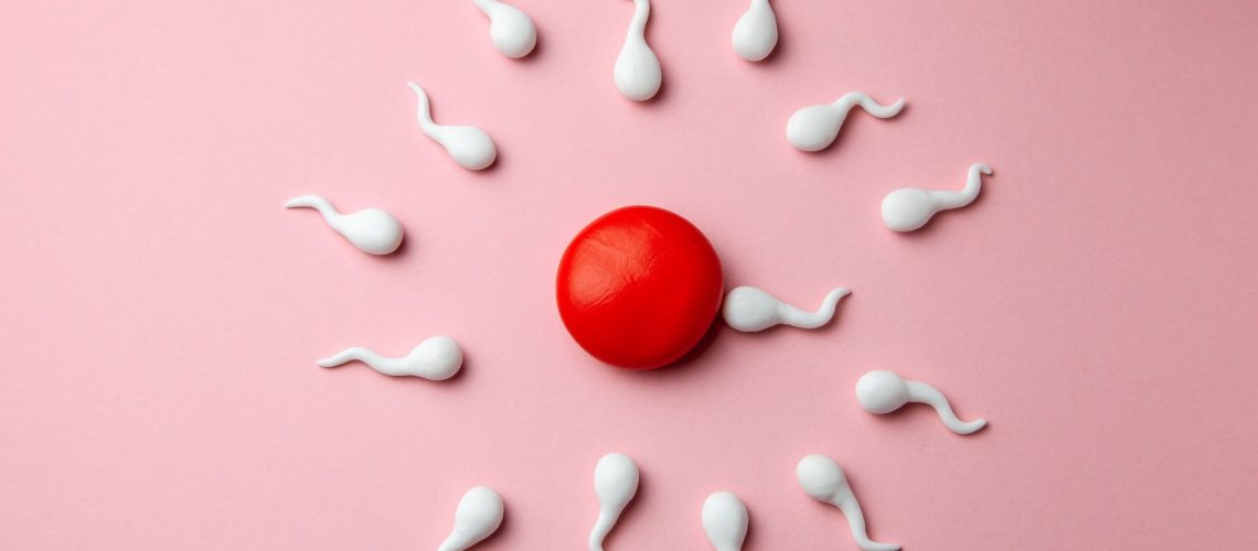 Trial: Antioxidant Treatment and the Chance to Conceive in Men Seeking Fertility Care. Image Credit: ADragan / Shutterstock