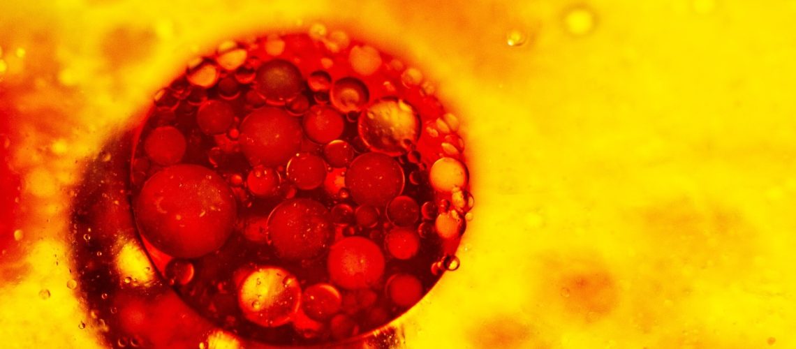 Study: EPAC1 enhances brown fat growth and beige adipogenesis. Image Credit: Maryna Marchenko / Shutterstock.com