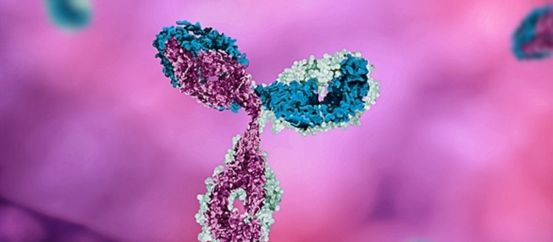 ננו-גופי אנטי-CTLA-4 מציעים אסטרטגיה מבטיחה למניעת קוליטיס באימונותרפיה של סרטן