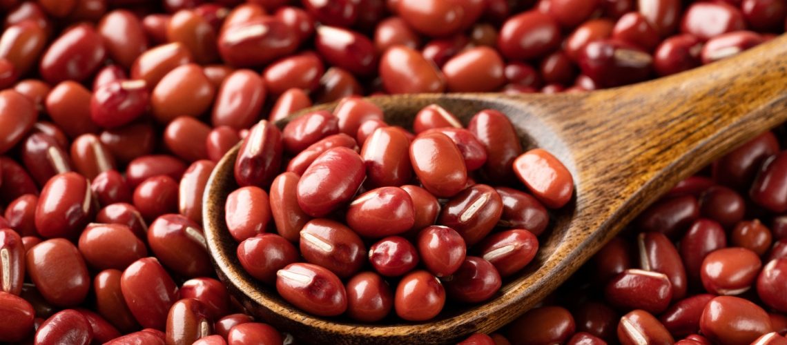 Study: The Potential of the Adzuki Bean (Vigna angularis) and Its Bioactive Compounds in Managing Type 2 Diabetes and Glucose Metabolism: A Narrative Review. Image Credit: Hanasaki/Shutterstock.com