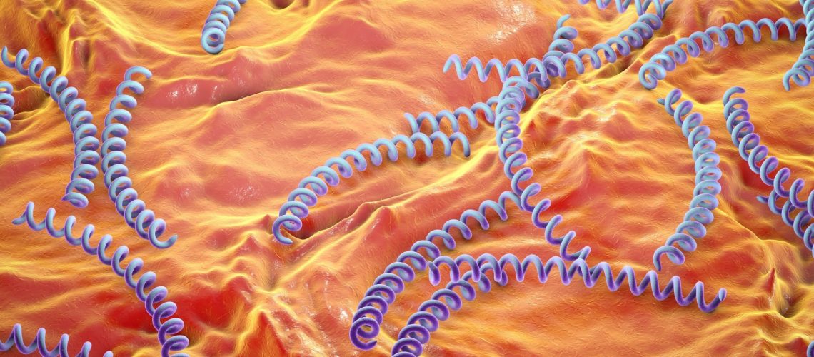 Study: Syphilis: Is it Back with a Bang? Image Credit: Kateryna Kon / Shutterstock