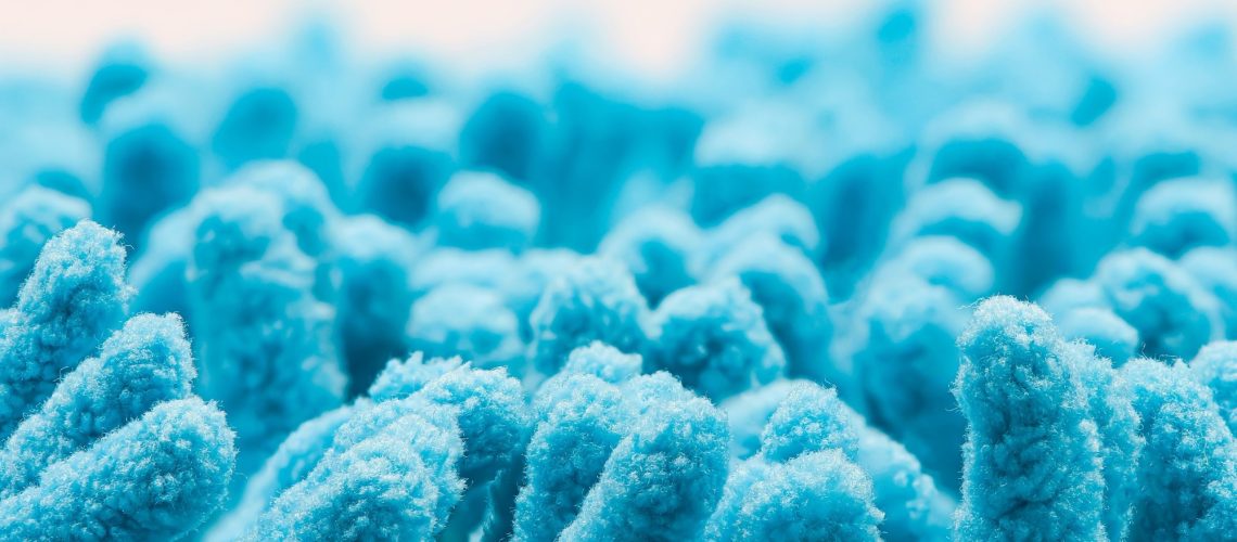 Study: Integrating research on bacterial pathogens and commensals to fight infections—an ecological perspective. Image Credit: TopMicrobialStock/Shutterstock.com