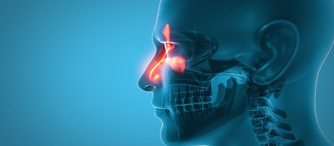 Study: The nasal mycobiome of individuals with allergic rhinitis and asthma differs from that of healthy controls in composition, structure and function. Image Credit: labden/Shutterstock.com