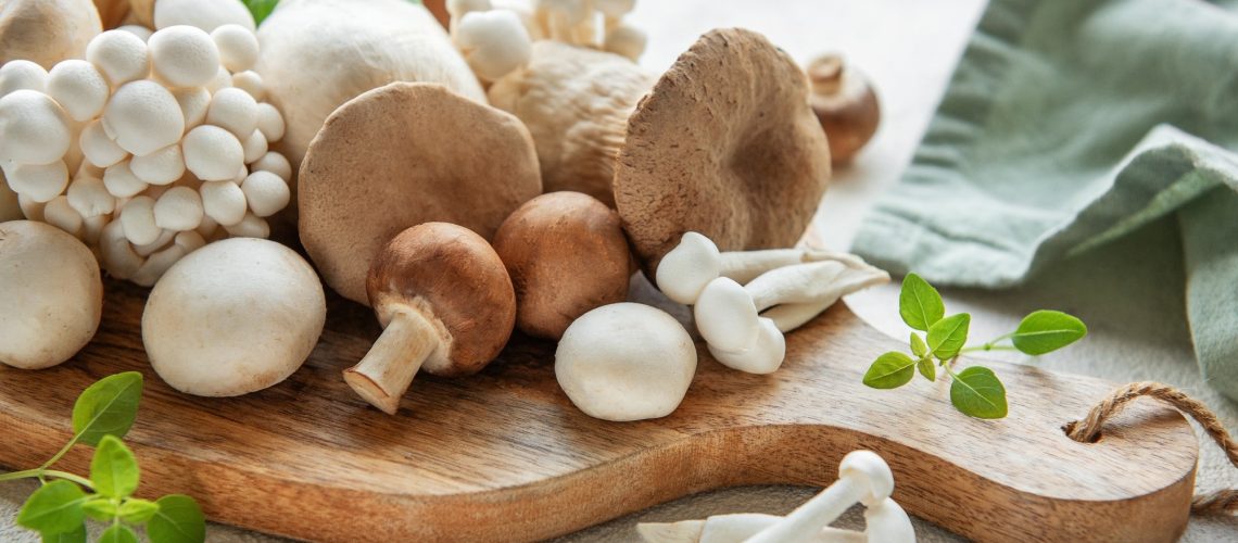 Review: Harnessing the Nutritional Value, Therapeutic Applications, and Environmental Impact of Mushrooms. Image Credit: Olena Rudo / Shutterstock