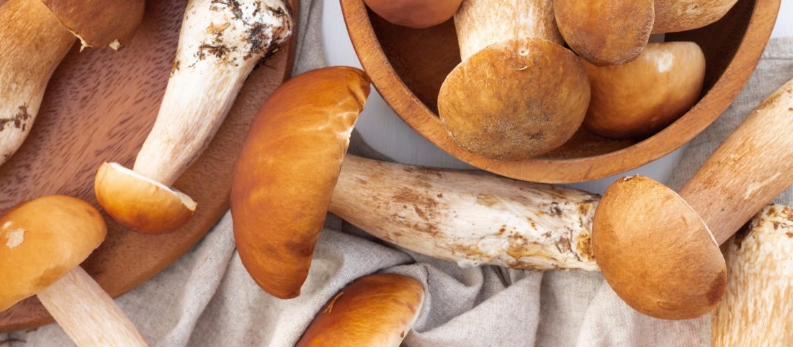 Study: MUSHROOMS4LIFE: Decoding the Molecular Basis of a Cancer-Fighting Small RNA Extracted from Edible Mushrooms. Image Credit: JeannieR / Shutterstock