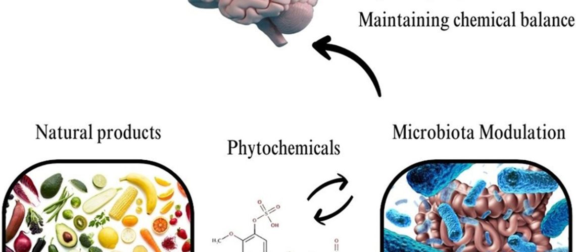 Study: Modulatory effects of phytochemicals on gut-brain axis: therapeutic implication.