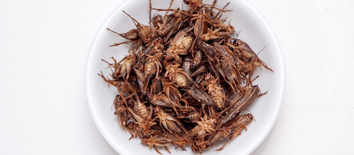A heap of brown edible crickets in a white ceramic saucer