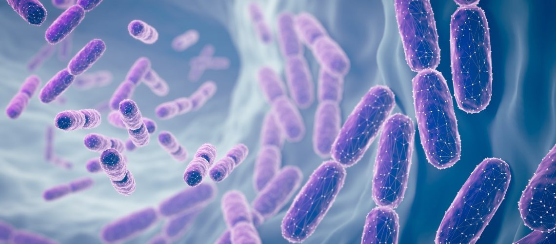 Study: Precision Probiotics Regulate Blood Glucose, Cholesterol, Body Fat Percentage, and Weight Under Eight-Week High-Fat Diet. Image Credit: Anusorn Nakdee  / Shutterstock