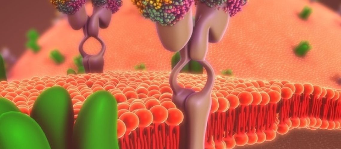 פרויקט בן חמש שנים מחפש כלי נשק חדשים נגד חיידקים עמידים לתרופות