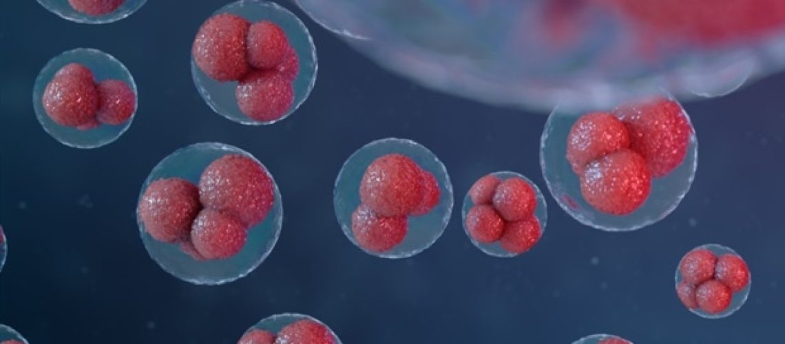 פתיחת הסודות של תאי עוזר זקיקים T לאסטרטגיות טיפול טובות יותר