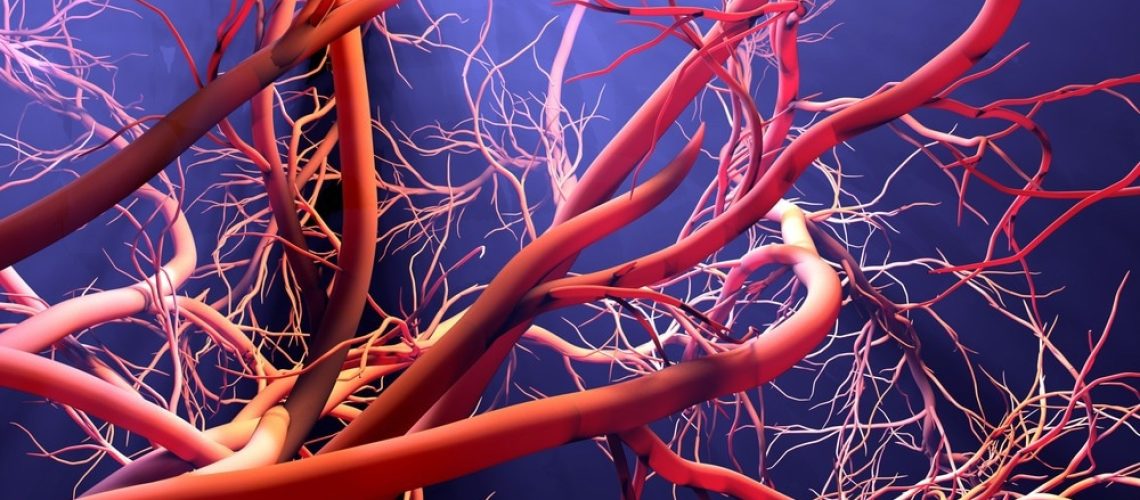 Study: A pathogenic role for IL-10 signalling in capillary stalling and cognitive impairment in type 1 diabetes. Image Credit: Design_Cells/Shutterstock.com