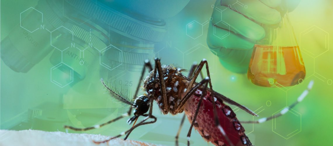 Study: Effect of single-dose, live, attenuated dengue vaccine in children with or without previous dengue on risk of subsequent, virologically confirmed dengue in Cebu, the Philippines: a longitudinal, prospective, population-based cohort study. Image Credit: frank60 / Shutterstock