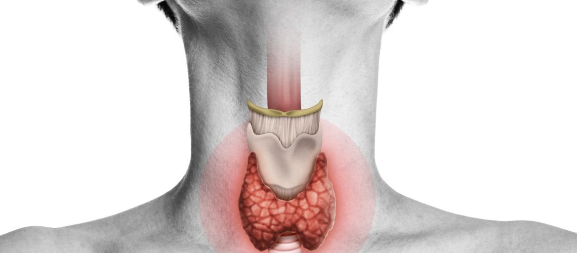 Study: Risk of hypothyroidism in meat-eaters, fish-eaters, and vegetarians: a population-based prospective study. Image Credit: SvetaZi / Shutterstock