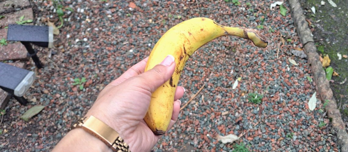 קוראים לבעלי בתים לשים בננות בחצריהם בנובמבר הקרוב - הנה הסיבה