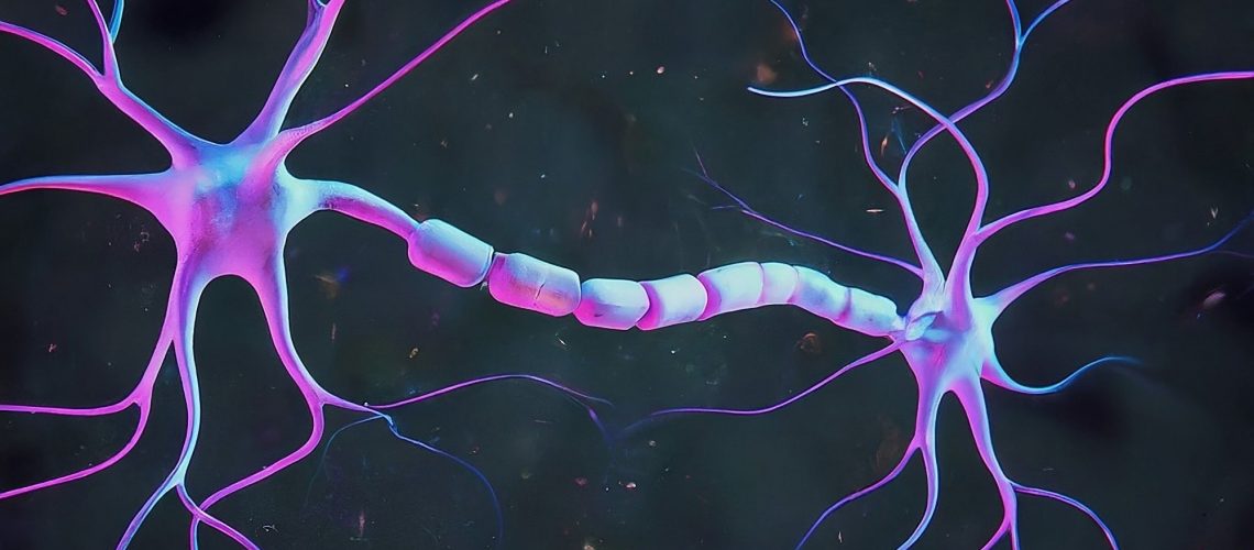 Study: β-hydroxybutyrate is a metabolic regulator of proteostasis in the aged and Alzheimer disease brain. Image Credit: Shutterstock AI