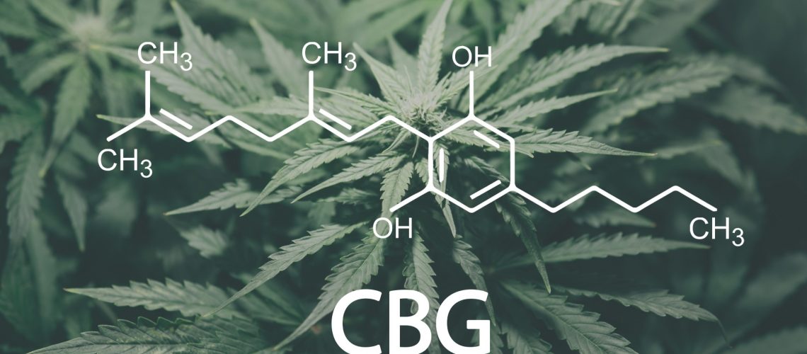 Study: Acute effects of cannabigerol on anxiety, stress, and mood: a double-blind, placebo-controlled, crossover, field trial. Image Credit: Dmytro Tyshchenko/Shutterstock.com