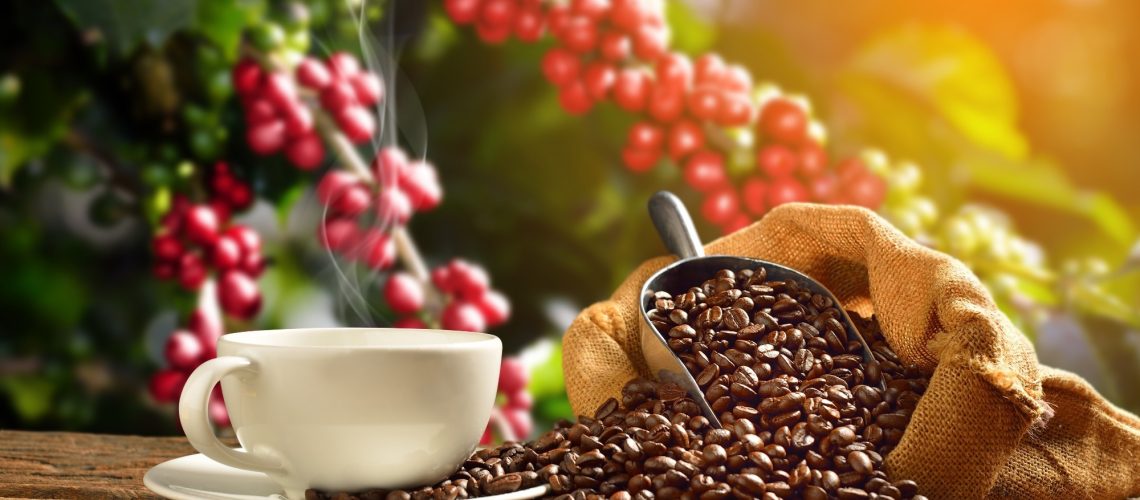 Cup of coffee with smoke and coffee beans in burlap sack on coffee tree