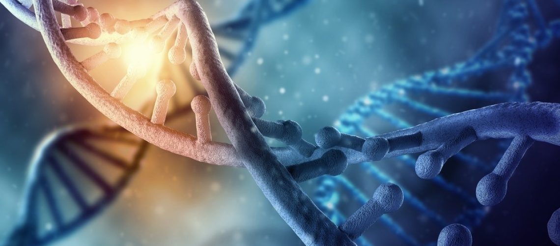 Image Credit: ESB Professional/Shutterstock.com