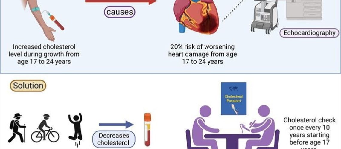 Increased cholesterol levels in adolescence linked to early heart damage