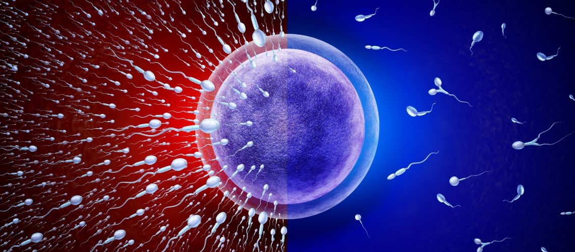 Study: A new model for determining risk of male infertility from serum hormone levels, without semen analysis. Image Credit: Lightspring / Shutterstock.com