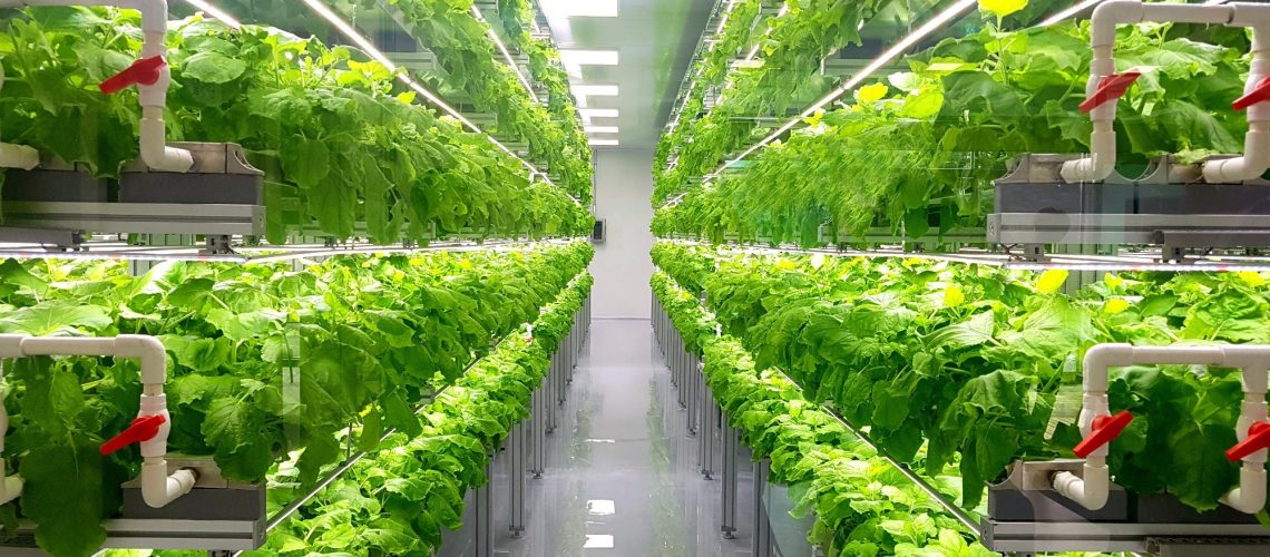 GLOBAL POLICY REPORT: The Economics of the Food System Transformation. Image Credit: YEINISM / Shutterstock