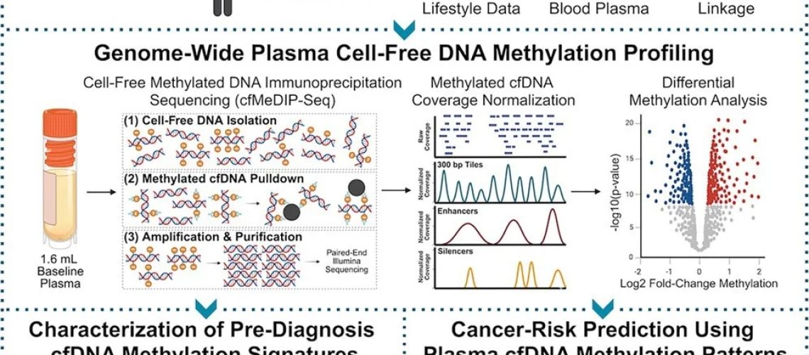 Study: Pre-diagnosis plasma cell-free DNA reveals early signatures of prostate and breast cancer risk up to eight years prior to clinical detection