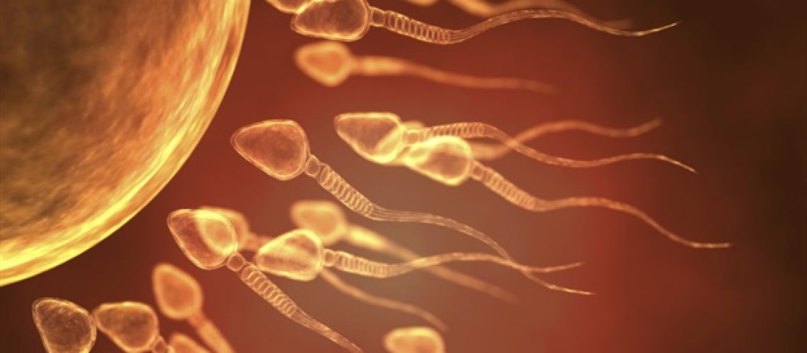 שינויים ב- DNA מזיקים בזרע נמצא כי הם עולים בחדות עם הגיל